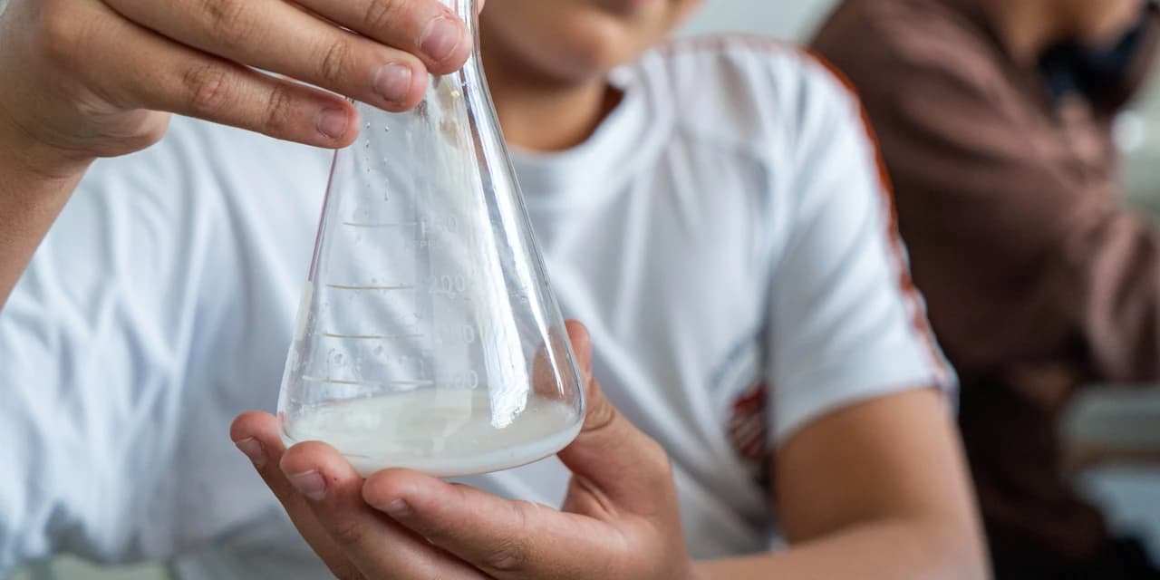 Alunos de colégio cívico-militar de Londrina desenvolvem repelente natural contra escorpiões