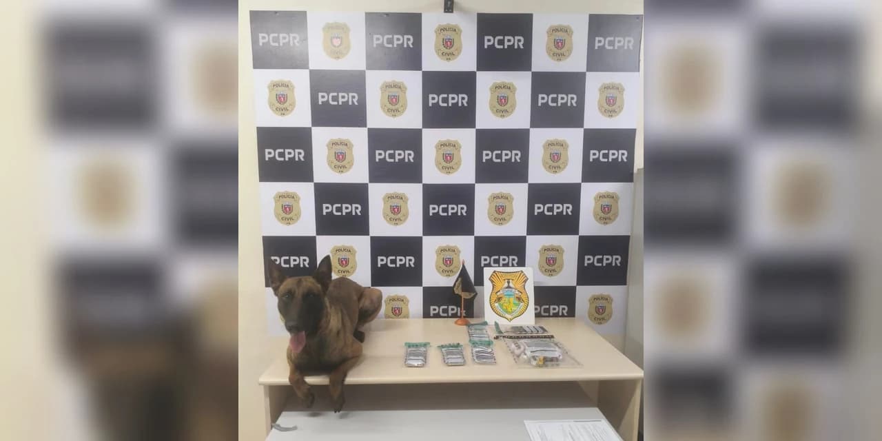 Polícia Civil e GCM apreendem aproximadamente 400 gramas de crack em condomínio na Vila Estrela em Ponta Grossa