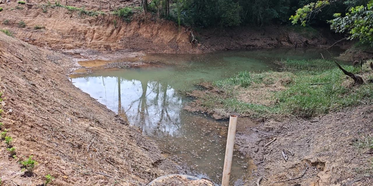 Polícia ambiental aplica multa de R$ 10 mil por dano à área de preservação permanente em Ipiranga