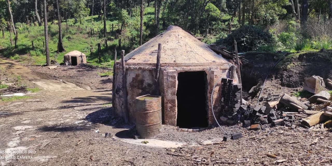 Em Inácio Martins polícia ambiental identifica desmatamento e fornos de carvão irregulares