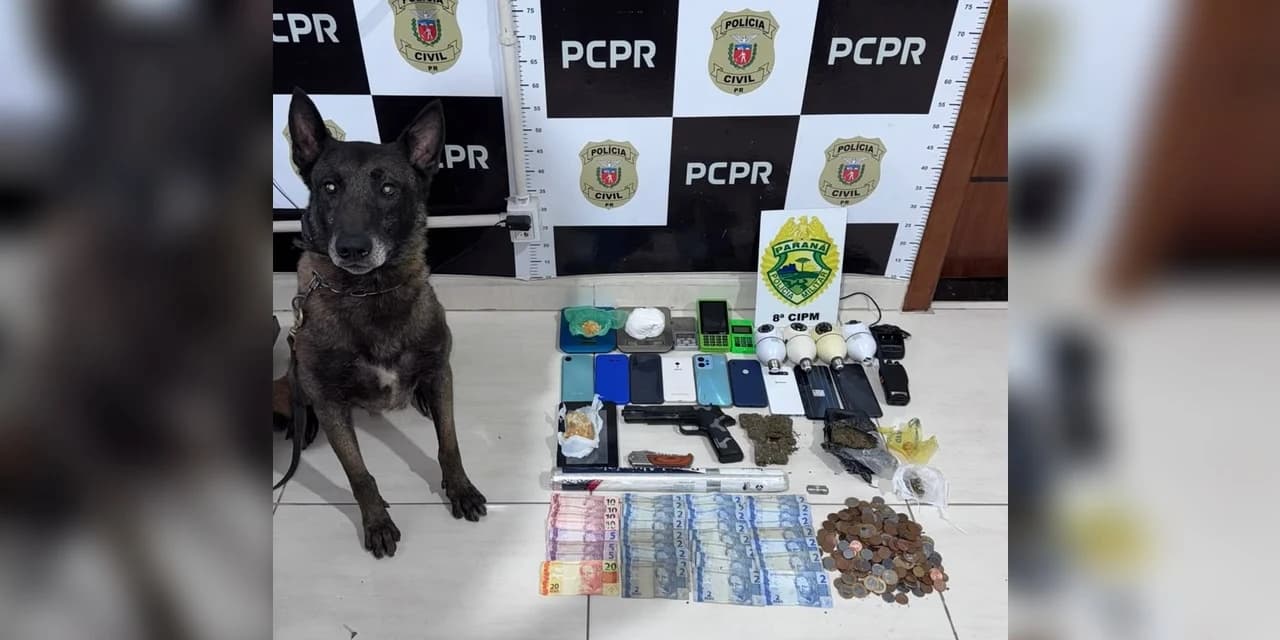 Operação Hydra: Forças de segurança prendem quatro pessoas por tráfico de drogas e associação para o tráfico em Irati