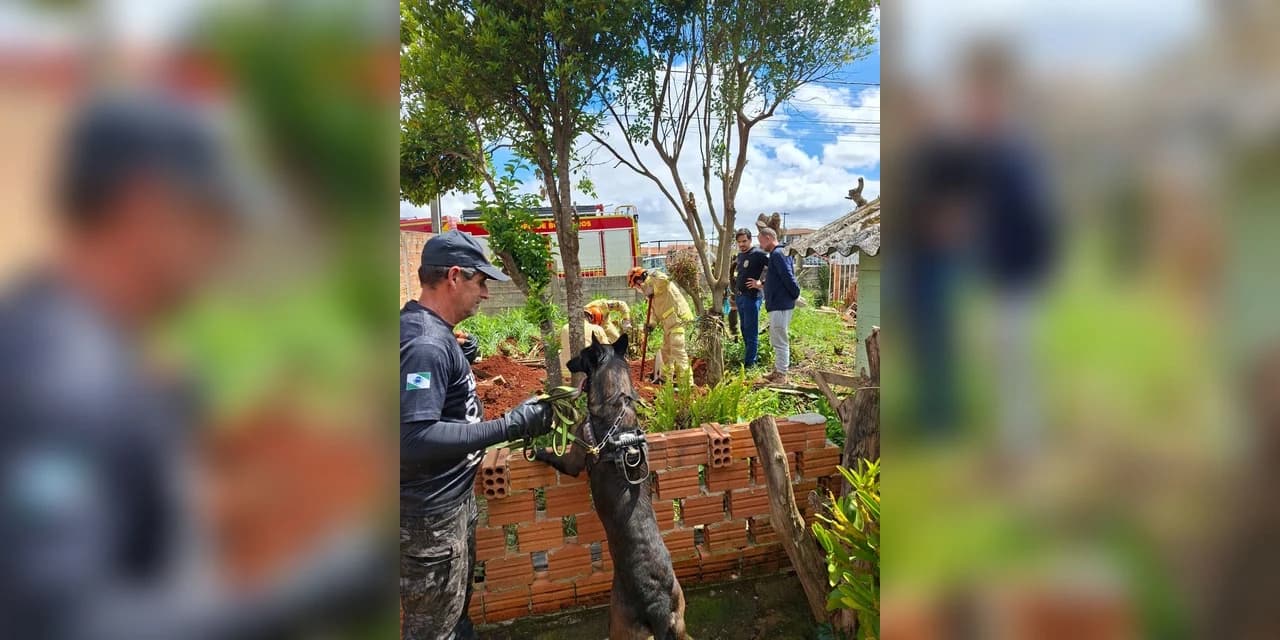 Em Ponta Grossa Polícia Civil encontra corpo enterrado em quintal de residência na Vila São Francisco