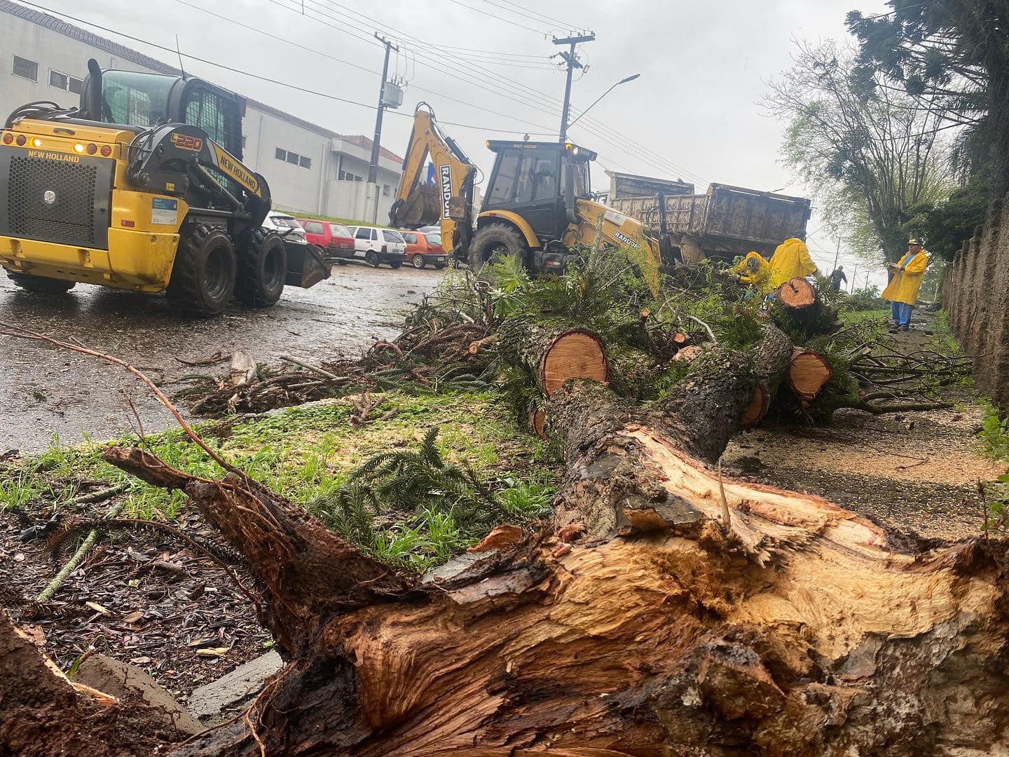 Temporal acompanhado de vento forte causa transtornos em Caxias do